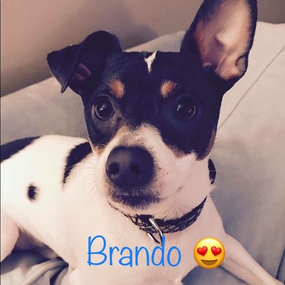 Meet your Posh Ambassador , Laura - Picture 6 of 6